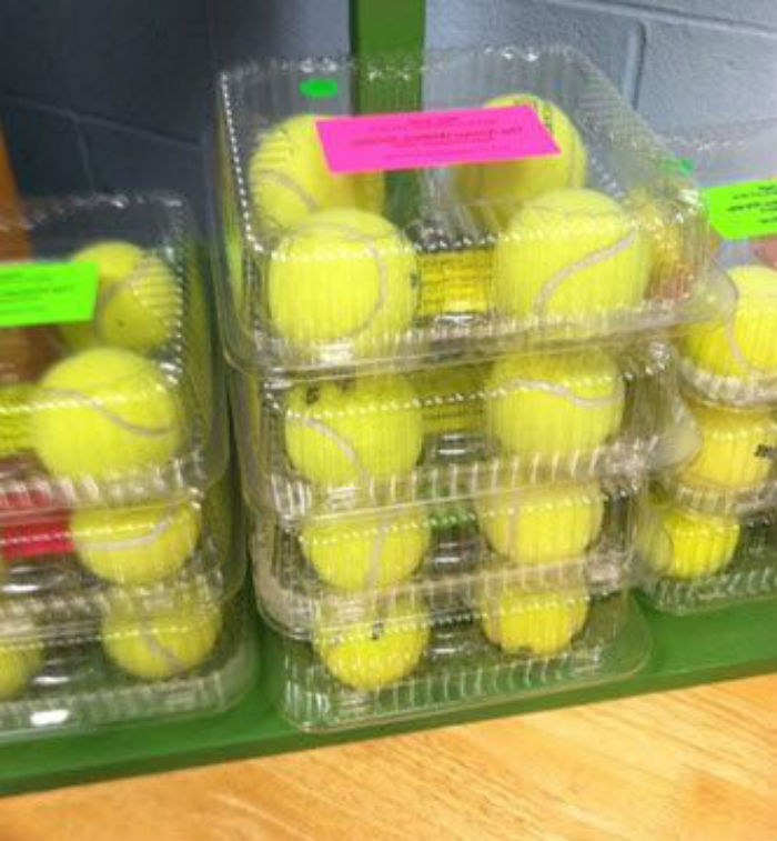 service learning3