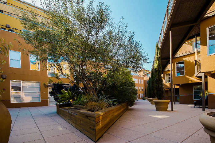 courtyard courtyard