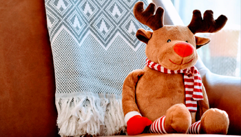 toy drive