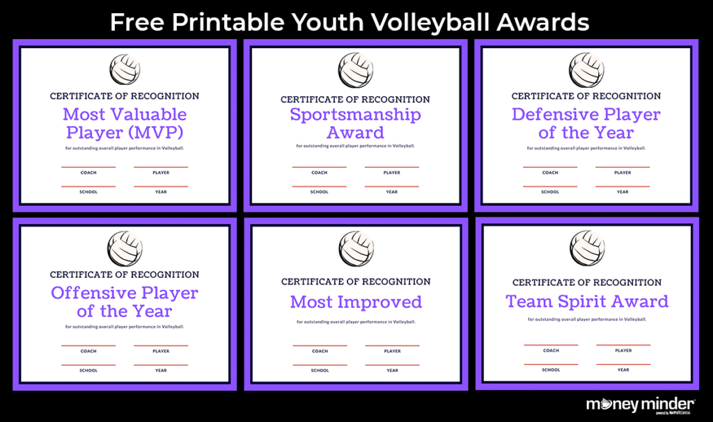 Volleyball Youth Sports Awards