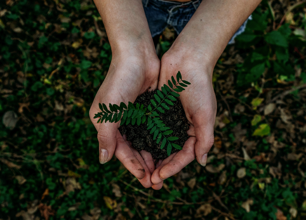 top environmental nonprofits