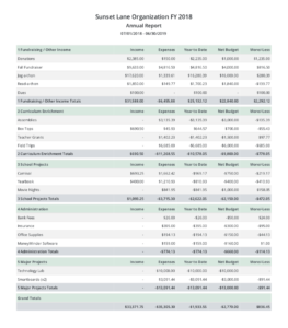 8 Free Sample Reports for Treasurers MoneyMinder