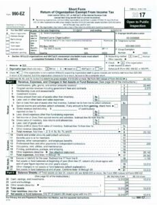 Sample Form 990-EZ for PTAs & PTOs