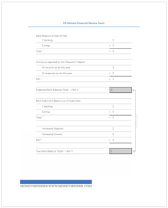 Perform a quick nonprofit financial review with this form.