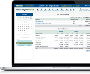 MoneyMinder Pro Accounting Screenshot