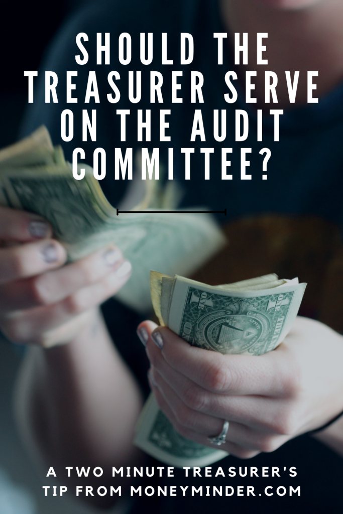 treasurer audit committee