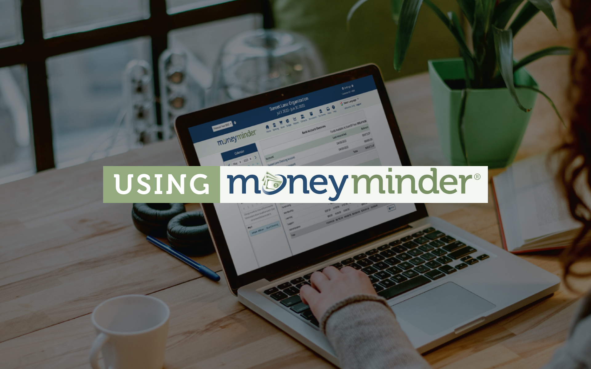 How to use MoneyMinder Software