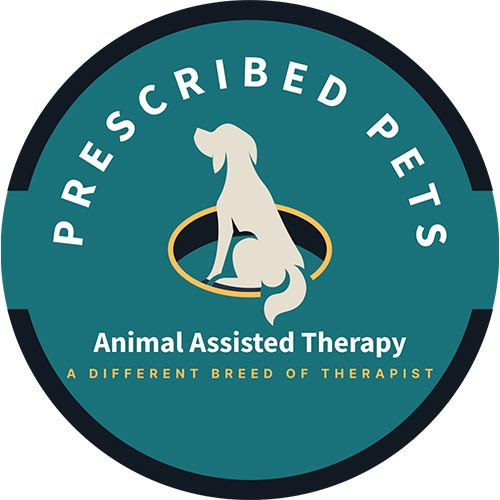 Animal Therapy Nonprofits