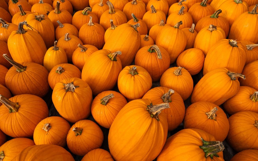Pumpkins Halloween Fundraisers