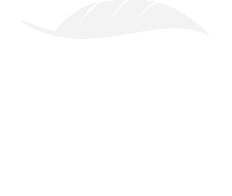 501c3 Center Logo White